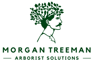 Morgan Treeman Arborist Solutions Footer Logo