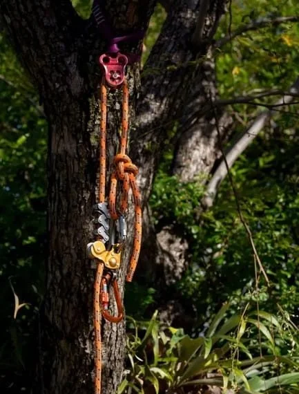Tree work safety line