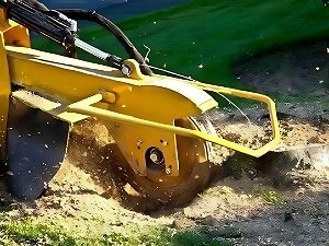 stump grinding